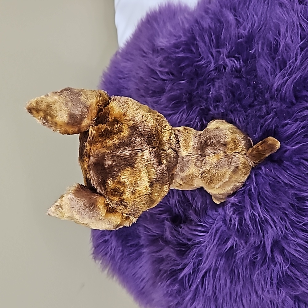 TY, Dexter, The Beanie Boo Collection - Picture 6 of 7
